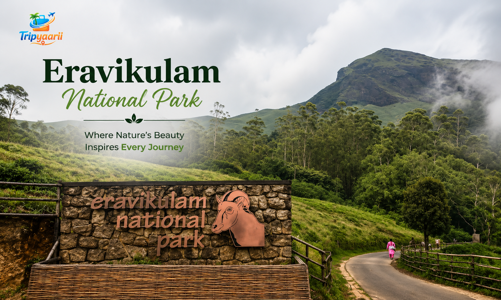 Rajamalai (Eravikulam) National Park